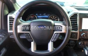 Xe Ford F150 Platinum 2015